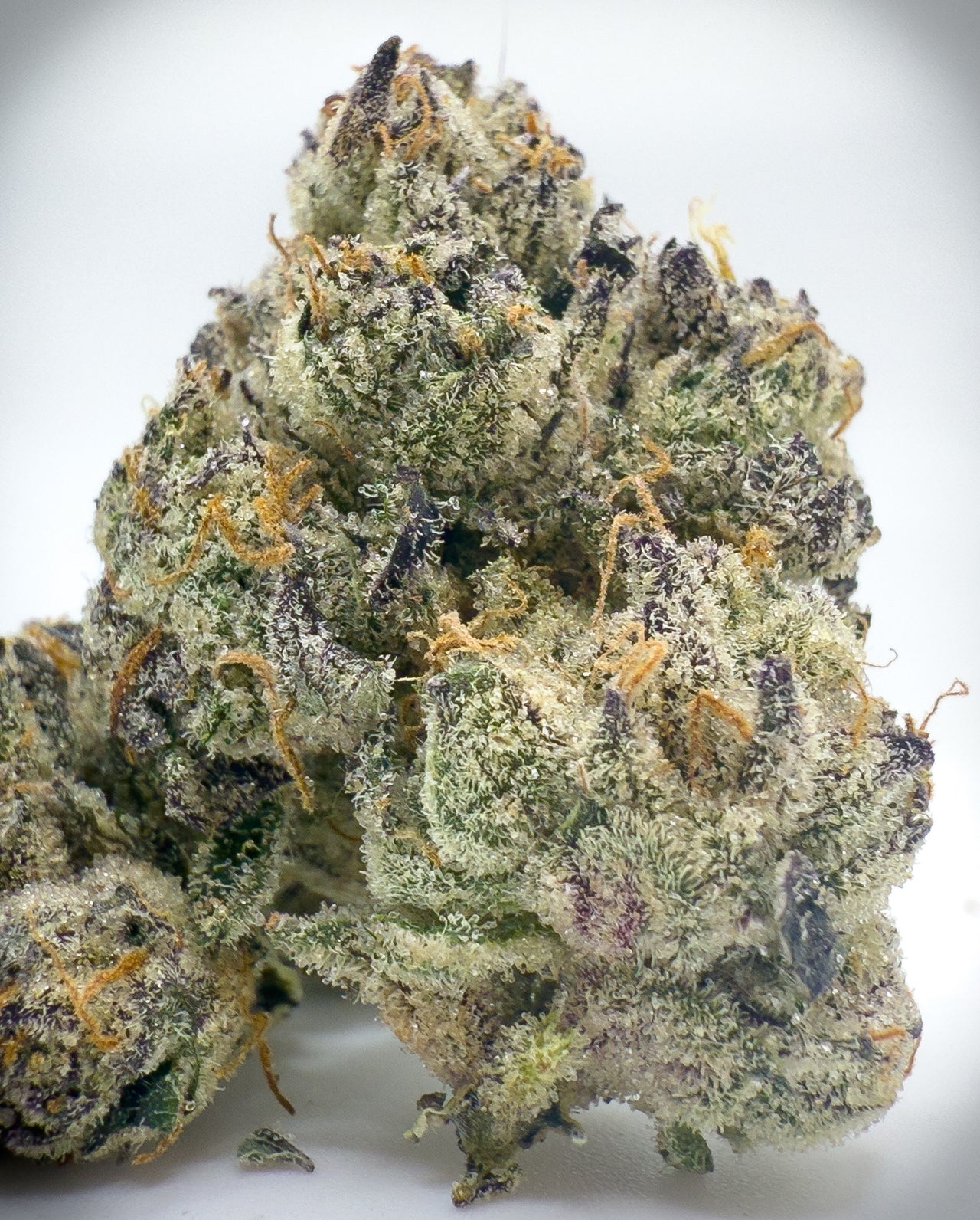 3.5g Blue Tease Flower